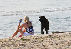 Lady and herdog on the beach (photo by RichG)